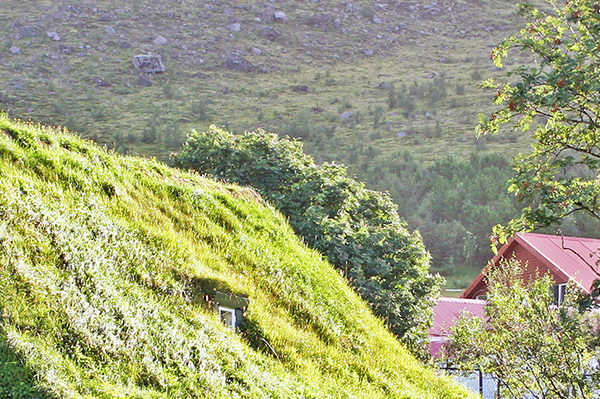 Hofskirkja church, turf church, island turf church, earth-bermed houses, earthen architecture, Icelandic turf churches, Iceland turf homes, green infused homes, green roof, sod-topped longhouses,