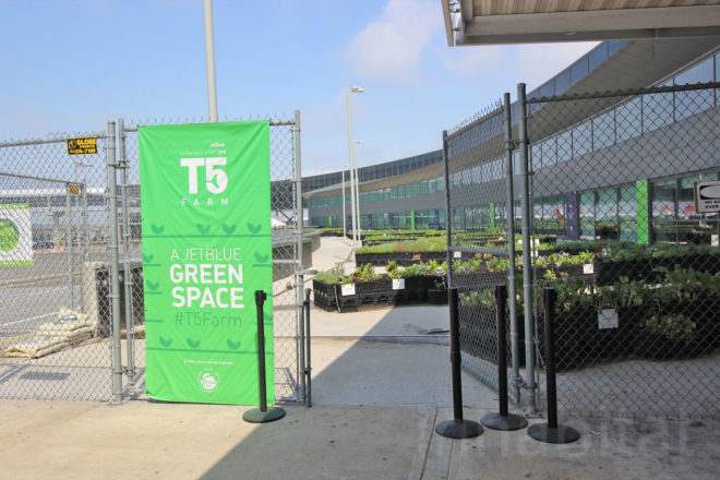 jetblue, jetblue farm, jetblue airlines, terminal 5 jfk, john f kennedy airport terminal 5, jfk jetblue terminal, farm at jfk, urban farming, airport farm