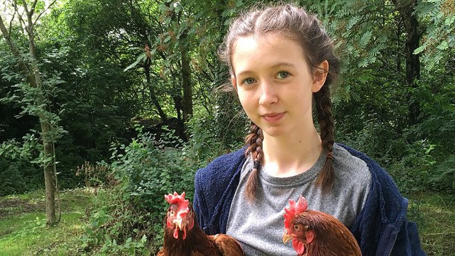 Lucy Gavaghan, caged hens, cage free hens, hens, chickens, hen, chicken, eggs, grocery, grocery store, grocery store eggs, supermarket, supermarket eggs, Tesco, England, Britain, UK