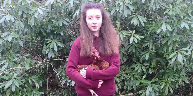 Lucy Gavaghan, caged hens, cage free hens, hens, chickens, hen, chicken, eggs, grocery, grocery store, grocery store eggs, supermarket, supermarket eggs, Tesco, England, Britain, UK