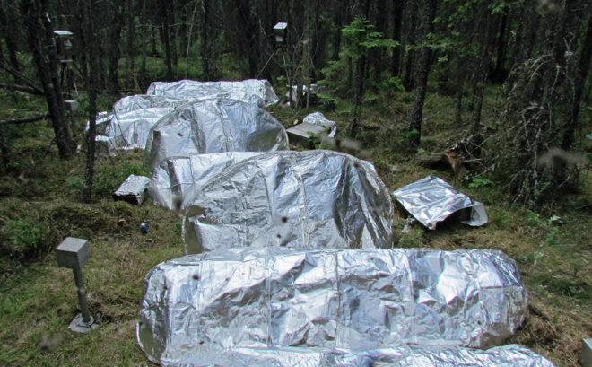 NASA, U.S. Forest Service, USFS, forest, fires, fire, wildfire, wildfires, firefighter, firefighters, fire shelter, fire shelters, emergency shelter, emergency fire shelter