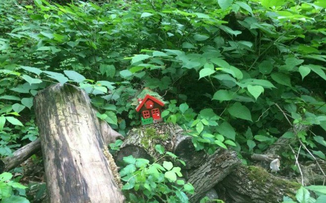 South Mountain Fairy Trail, fairy homes, fairy houses new jersey, new jersey fairy trail, small homes, Therese Ojibway, natural building materials, fairy home creations, pixie towers, Rahway Trail in Locust Grove, South mountain nature reserve