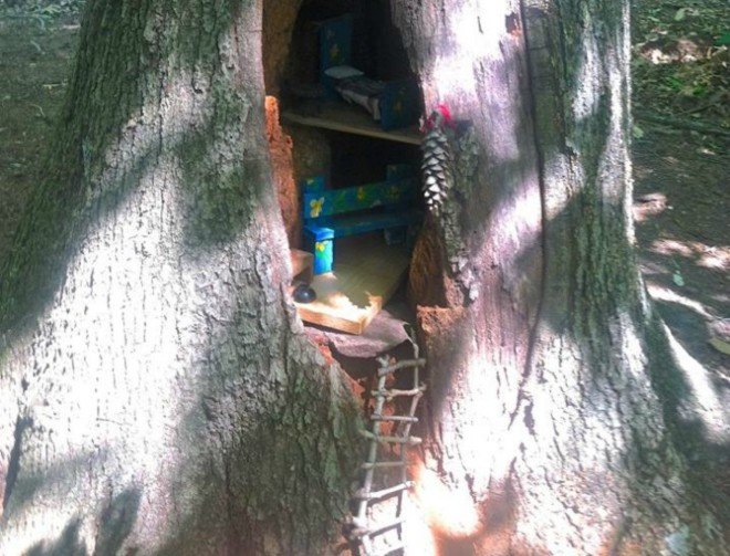 South Mountain Fairy Trail, fairy homes, fairy houses new jersey, new jersey fairy trail, small homes, Therese Ojibway, natural building materials, fairy home creations, pixie towers, Rahway Trail in Locust Grove, South mountain nature reserve