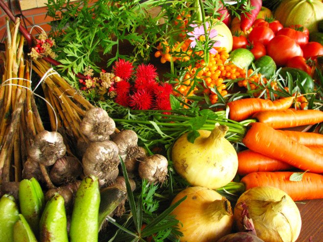 organic farming, organic food, agriculture, USDA certification