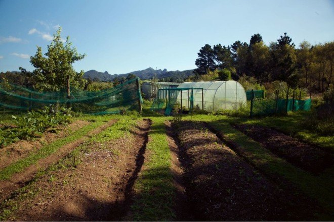 Andrew Martin, permaculture, vegetable gardens, fruit trees, habitats, sustainability