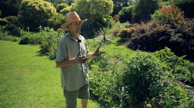 Andrew Martin, permaculture, gardens, fruit trees, habitats, sustainability