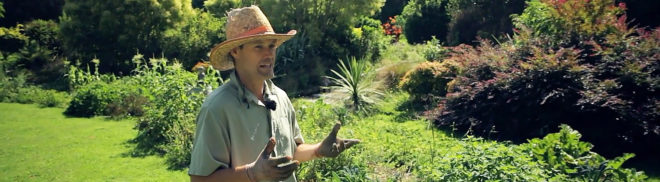 Andrew Martin, permaculture farm in three years, man who grew a permaculture farm in three years