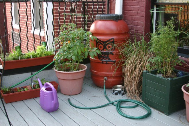 rain barrel, water conservation, rain barrel rain harvesting