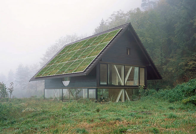 Sistine Solar, SolarSkin, solar panels, rooftop solar, rooftop solar panels, solar, solar energy, solar power, renewable energy, design, aesthetics, woods