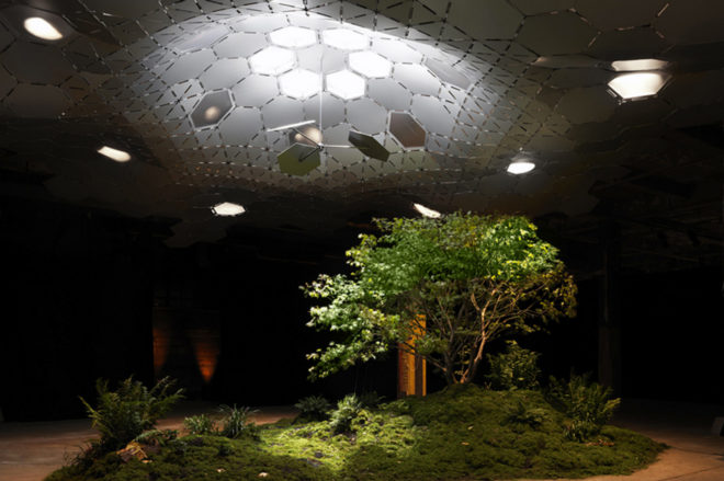 green design, eco design, sustainable design, green design nyc, eco design nyc, sustainable design nyc, low line, lowline, low line nyc, lowline nyc, parks, underground, underground park, lowline underground park, low line underground park, green park, eco park, sustainable park, exhibitions, green exhibitions new york, eco exhibitions, sustainable exhibitions, imagining the lowline, imagining the low line, low line preview, low line preview exhibitions, imagining the low line preview