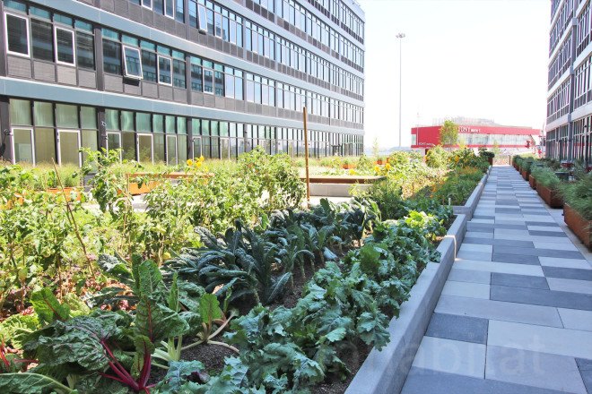 urby, urban farm, ironstate, concrete architects, staten island homes, staten island rentals, urby staten island, apartment building with farm, coffeed staten island, coffeed, leed staten island, urban beehives, urban apiary, bees nyc