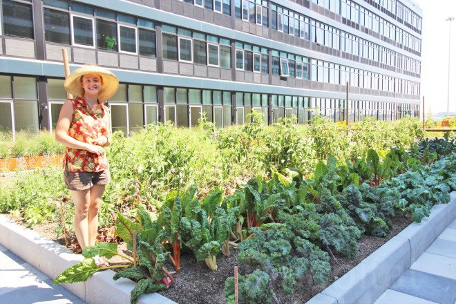 urby, urban farm, ironstate, concrete architects, staten island homes, staten island rentals, urby staten island, apartment building with farm, coffeed staten island, coffeed, leed staten island, urban beehives, urban apiary, bees nyc