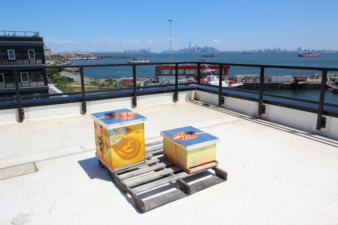 urby, urban farm, ironstate, concrete architects, staten island homes, staten island rentals, urby staten island, apartment building with farm, coffeed staten island, coffeed, leed staten island, urban beehives, urban apiary, bees nyc