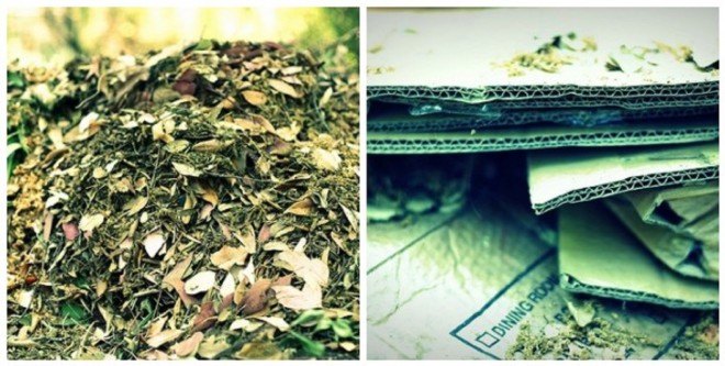 sheet mulch, lasagna mulch, green mulch