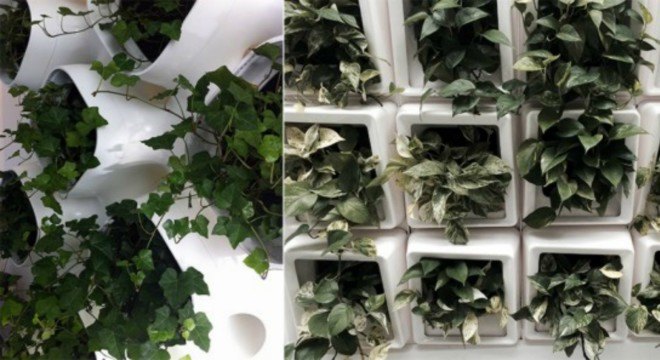 Living wall, nyc emergency center, SOM architects, Active Modular Phytoremediation System, Public Safety Answering Center, Bronx, Bronx living wall, Bronx emergency call center, CASE researchers, amps systems, nyc living walls, green walls nyc, green wall design, urban design,