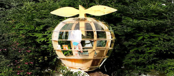 apple headquarters, treehouse, apple tree house, apple shaped treehouse, apple headquarters treehouse, Anders Berensson Architects, ABA, ABA Sweden, Apple Headquarters, Apple treehouse, apple-shaped treehouse, apple tree house, apple shaped house
