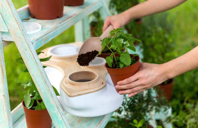 BIOVESSEL by BIONICRAFT, tabletop composter, odorless composter, beautiful compost designs, BIOVESSEL compost, BIOVESSEL kickstarter,