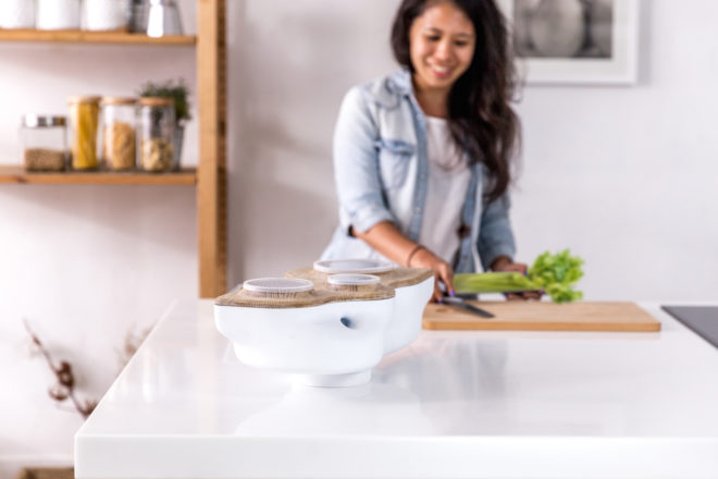 BIOVESSEL by BIONICRAFT, tabletop composter, odorless composter, beautiful compost designs, BIOVESSEL compost, BIOVESSEL kickstarter,