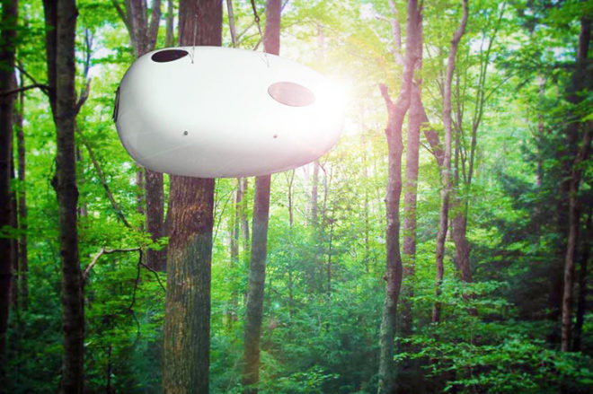 Baobed Treehouse, biodesign, biomimicry