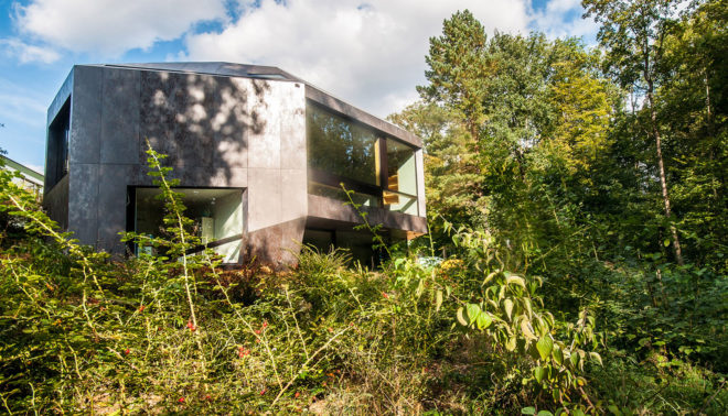 Casa Forest, Switzerland, forest residence, Basel, Daluz Gonzalez Architekten, green architecture, double-height space, natural light