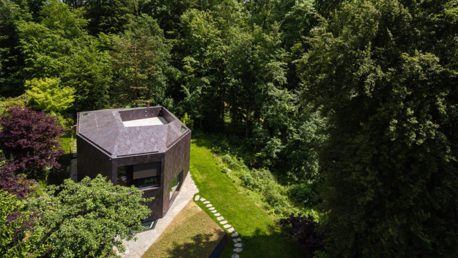 Casa Forest, Switzerland, forest residence, Basel, Daluz Gonzalez Architekten, green architecture, double-height space, natural light