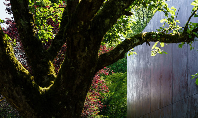 Casa Forest, Switzerland, forest residence, Basel, Daluz Gonzalez Architekten, green architecture, double-height space, natural light
