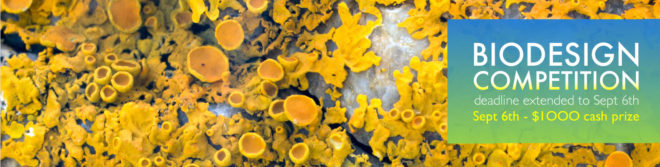 Biodesign Competition to ideate the X-Prize for regenerative building