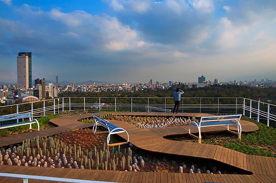 Foro Ciel, Rojkind Arquitectos, AGENT, Foro Ciel by Rojkind Arquitectos and AGENT, Foro Ciel by Rojkind Arquitectos, Foro Ciel by AGENT, Mexico City, Mexico, Coca-Cola, rooftop helipad, helipad, green roof, rooftop garden, garden, native plants, plants, co-work, co-working, co-working space, co-working office, cowork, coworking, coworking office, coworking space, office, office space, work space