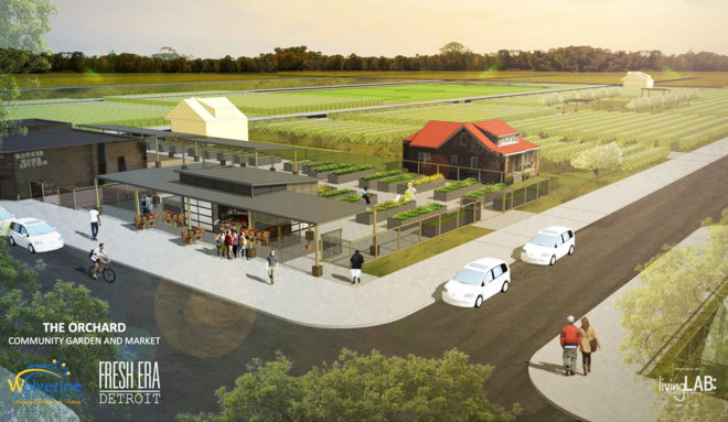 detroit, michigan, crowdfunding community garden, detroit nonprofit funding community garden, detroit farmers market, grow your own food Detroit, Jefferson-Mack neighborhood farm