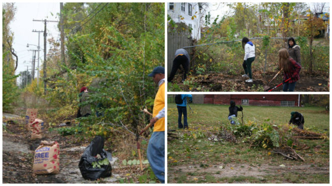 detroit, michigan, community garden, community center, farmers market, education, sustainability, volunteers, volunteering, growing your own food, Jefferson-Mack neighborhood