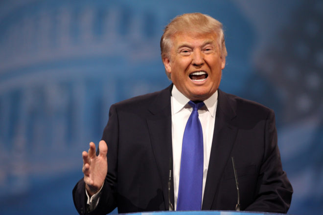 donald trump canada, american immigration, move to canada, donald trump, donald trump presidency, cape breton island, cape breton if donald trump wins