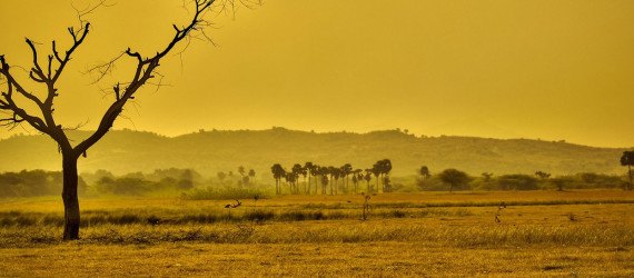 global warming, arid climate, hot temperatures, earth warming