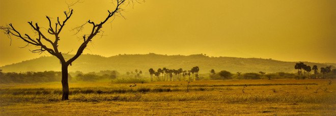 global warming, arid climate, hot temperatures, earth warming