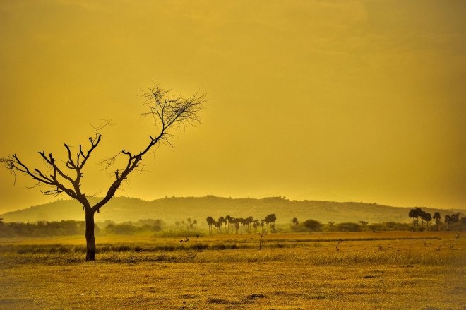 global warming, arid climate, hot temperatures, earth warming