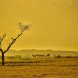 global warming, arid climate, hot temperatures, earth warming