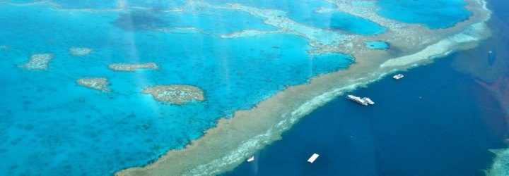 great barrier reef structure, halimeda bioherms, great barrier reef bioherms, new bioherms, australia reef, james cook university great barrier reef, dr. robin beaman, jody webster, university of sydney great barrier reef, queensland university of technology great barrier reef