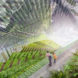 weston baker creative, high line park architecture, new york city park architecture, rem koolhaas, high line parcel, hybrid farm apartment, indoor farming terraces, new york city apartment, indoor farming
