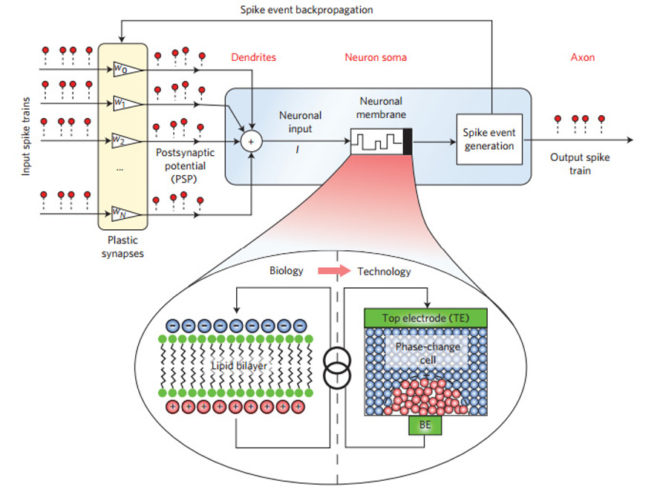 ibm, zurich, switzerland, artificial neuron, artificial phase-change device, artificial version of biological neuron, nanotechnology