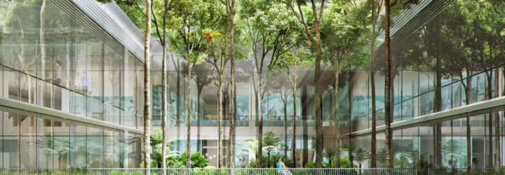 Kampung Admiralty by WOHA Architects, Kampung Admiralty Singapore, smart assisted living for cities, urban design for elderly, urban design for baby boomers, urban design for elder care