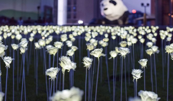 Light Rose Garden, Light Rose Garden Chengdu, AllRightsReserved, Pancom, Amherst Inc., LED lights, LED, art installation, China, light installation, temporary installation, green design