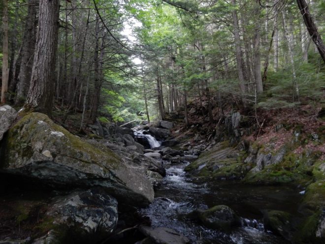 Maine, North Maine Woods, Katahdin Woods