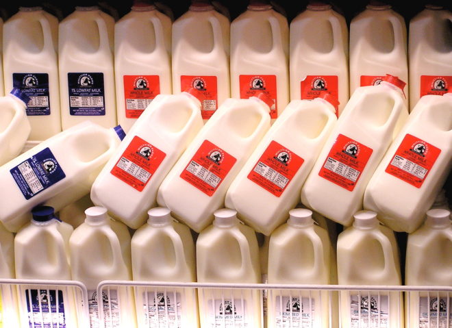 led light and milk, milk exposed to led, led milk exposure, milk taste test, led light degrades milk, cornell university, cornell university milk study, milk research, milk and artificial light