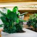 Mork-Ulnes Architects, recycled barn, recycled artist studio, Meier Road project, California, recycled wood, modern addition, free-range chicken, plants growing inside