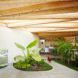 Mork-Ulnes Architects, recycled barn, recycled artist studio, Meier Road project, California, recycled wood, modern addition, free-range chicken, plants growing inside