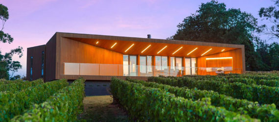 Red Hill Residence, Finnis Architects, vineyard, wine cellar, Australia, timber, steel, rammed earth, green architecture, glass balustrades, skylights, natural light