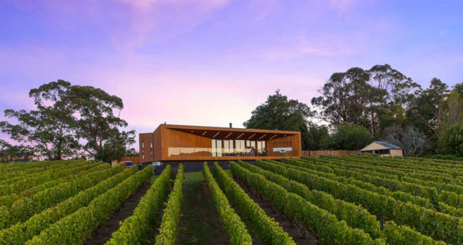 Red Hill Residence, Finnis Architects, vineyard, wine cellar, Australia, timber, steel, rammed earth, green architecture, glass balustrades, skylights, natural light