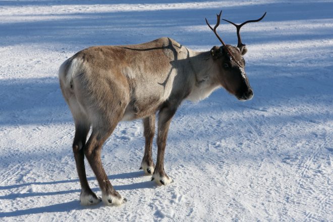 Anthrax, global warming, deadly diseases