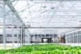 Snuck Farm by Lloyd Architects, sustainable agriculture in Utah, Fugal Farm by Lloyd Architects, modern farm, contemporary farm design