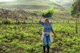 Buckminster Fuller Challenge 2016, Buckminster Fuller Challenge 2016 finalists, socially responsible design’s highest award, Cooperación Comunitaria, The Sentinel Project’s Una Hakika, Taking Root’s CommuniTree, PITCHAfrica’s Waterbank Schools
