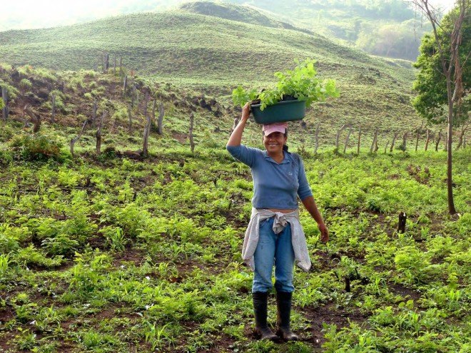 Buckminster Fuller Challenge 2016, Buckminster Fuller Challenge 2016 finalists, socially responsible design’s highest award, Cooperación Comunitaria, The Sentinel Project’s Una Hakika, Taking Root’s CommuniTree, PITCHAfrica’s Waterbank Schools